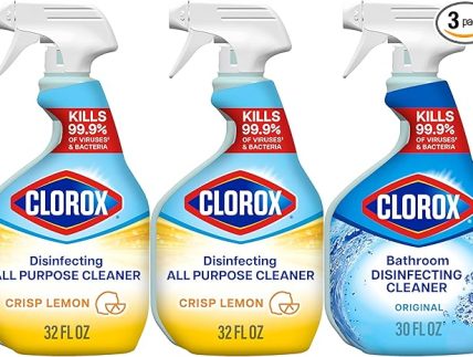 Carpet Magic Pros Clorox spray